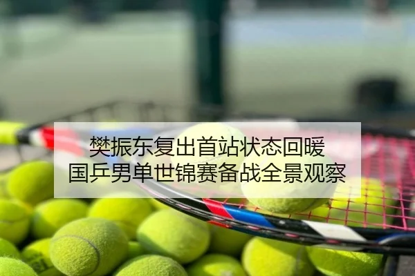 樊振东复出首站状态回暖 国乒男单世锦赛备战全景观察